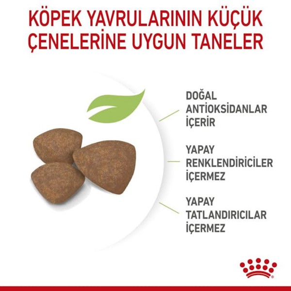 ROYAL CANİN DOG MINI PUPPY  2 KG*6